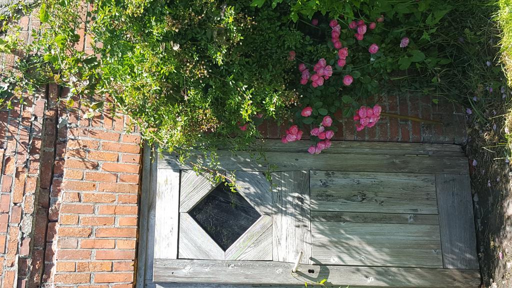 Ferienwohnungen Zollhaus Utlandshoern Norden Buitenkant foto